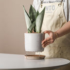 5.8 Inch Plant Pot: Ceramic Planter with Drainage Hole & Saucer - Cylinder Round Flowerpot for Indoor & Outdoor Plants - with Separate Tray for Home & Office - Retro Style, Grey
