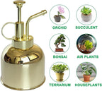 Stainless Steel Plant Sprayer, Small Watering Can Modern Gardening Tool for Indoor Potted Plants Watering and Spraying