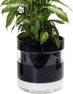 Phoenix Vine 10 Inch Self Watering Terracotta Planter, Black Terracotta Clay Pot with Glass Reservoir for Indoor Plants, Herbs, Flowers, Set of 1, 52-C-I-1
