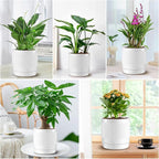 Vanavazon Ceramic Planter Pots for Indoor Plants with Drainage Hole and Saucer,6 Inch Cylinder Plant Pots,Glazed Finish Interior and Exterior,Set of 2 (White)