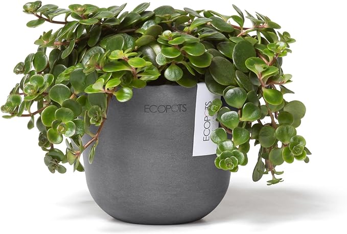 Ecopots Oslo Mini Durable Modern Round Indoor/Outdoor Recycled-Based Composite Flower Pot Planter, Grey, 4.5"