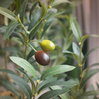 Bellacat Faux Olive Tree 4ft，Olive Trees Artificial Indoor with Natural Wood Trunk and Realistic Leaves and Fruits. 4 Feet(48in) Fake Olive Tree for Home House Office Décor.