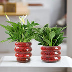 Ceramic 5 inch Plant Pot - Planter for Indoor Plants with Drainage Hole, Flower Pots for Orchid, Succulent,Outdoor Plants, Modern Glaze Planters for Home Office Decor Gift