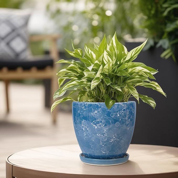 Ceramic Pots for Plants - 6 Inch Planter with Drainage Hole and Plant Tray, Decorative Succulent Pot, Round Flower Planter for Indoor, Garden Living Room Decor, Gifts for Plant Lovers, Blue