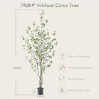 Bellacat 7ft Artificial Citrus Tree with Lifelike Leaves, 84in Faux Citrus Tree with Realistic Trunks, Fake Citrus Tree for Home Office Living Room Bedroom Porch Decor.