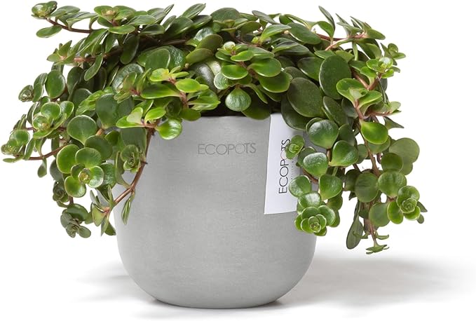 Ecopots Oslo Mini Durable Modern Round Indoor/Outdoor Recycled-Based Composite Flower Pot Planter, White Grey, 4.5"