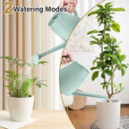 Plant Watering Can - Plastic Indoor and Outdoor - 1/2 Gallon - Green