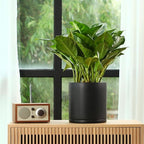 Kazeila Plant Pots Ceramic Planter for Indoor Outdoor Plants Flowers 10 Inch Matte Black Large Cylinder Flower Pot with Saucer and Drainage Hole,Glazed Finish Interior and Exterior