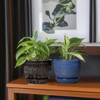 G EPGardening Ceramic Plant Pot - 5.5 Inch Ceramic Planter for Indoor Plants, Boho Round Indoor Flower Pot with Drainage Hole and Saucer, Plant Lover Gifts, Garden Home Room Decor, Black
