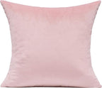 20x20 Set of 2 Velvet Throw Pillow Covers Decorative Cozy Square Soft Solid Cushion Cases Home Decorations for Sofa Couch Teen Bedroom Car, Pink