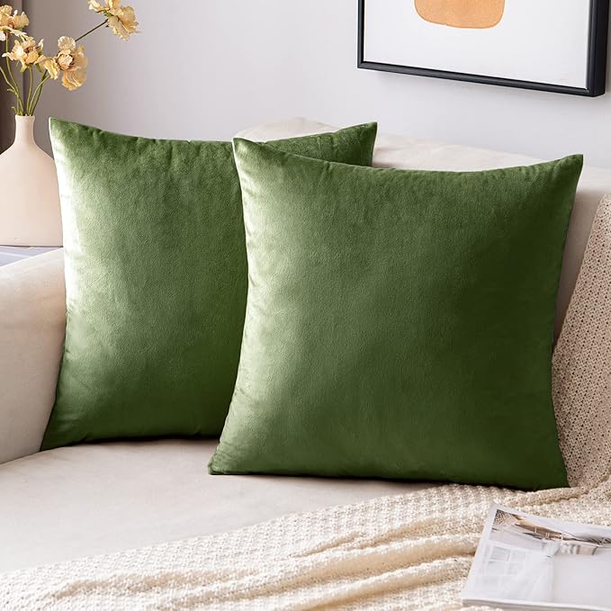 EMEMA Pack of 2 Velvet Pillow Covers Decorative Square Pillowcase Soft Solid Cushion Case for Sofa Bedroom Car 16x16 Inch Moss Green