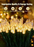 Battery Operated Christmas String Lights, 8ft 20 LED Mini Lights with Timer, Christmas Tree Lights for Indoor Outdoor Bedroom Wedding Party Holiday Xmas Decoration，Warm White（2 Pack）