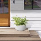 Kante 15.7" Dia Round Concrete Planter, Outdoor Indoor Garden Plant Pots with Drainage Hole and Rubber Plug, Modern Curvaceous Design, Pure White