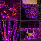 2 Pack Solar Halloween Lights Outdoor, 170 FT 480 LED Solar String Twinkle Light for Outside with 8 Modes & Memory Function, Waterproof Light for Tree Yard Horror Party Decorations (Orange & Purple)