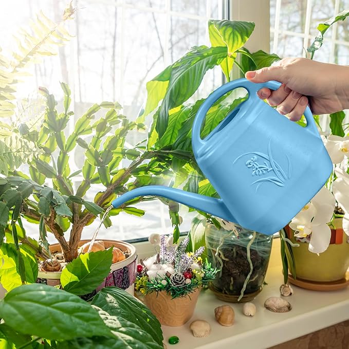 Plastic Watering Can - for Indoor and Outdoor Plant - 1/2 Gallon - SkyBlue