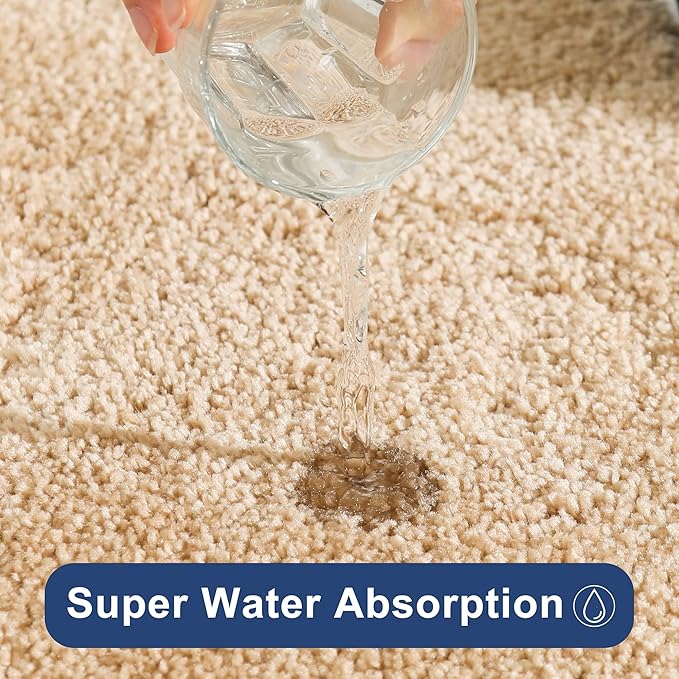 COSY HOMEER Bath Rugs for Bathroom Extra Thick - Anti-Slip Bath Mats Soft Plush Yarn Shaggy 100% Strong Mirco Polyeste Mat Living Room Bedroom Mat Floor Water Absorbent(Beige,24x36 - Inches)