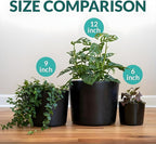 Willowy 9 Inch Black Ceramic Plant Pot with Drainage - 9 Inch Plant Pot for Indoor Plants, Flower Planter, Tall Modern Planter