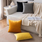 EMEMA Pack of 2 Velvet Throw Pillow Covers Decorative Rectangle Pillowcase Soft Solid Cushion Case for Sofa Bedroom Chair Car 12x20 Inch Black