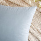 EMEMA Pack of 2 Velvet Pillow Covers Decorative Rectangle Pillowcase Soft Solid Cushion Case for Sofa Bedroom Car 12x20 Inch Baby Blue