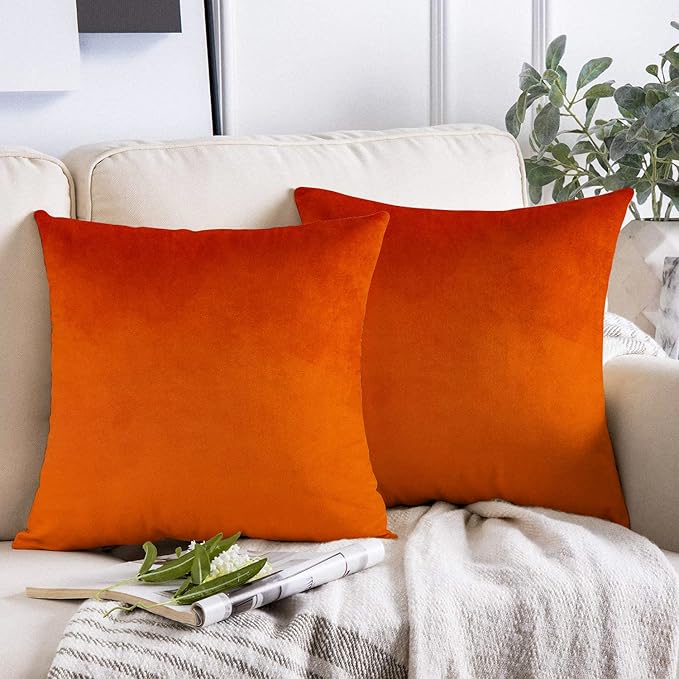Burnt Orange Fall Throw Pillow Covers 18x18 Decorative Outdoor Thanksgiving Autumn Couch Rust Velvet Decor Cushion Cases Home Decoration for Porch Patio Sofa Bedroom Car Set of 2