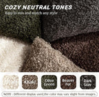 Foindtower 2 Pieces 20x20 Inch Dark Gray, Faux Fur Throw Pillow Cover Accent Sherpa Furry Pillow Covers Fuzzy Soft Pillowcases Cozy Sheepskin Decorative Fleece Cushion Case for Bed Couch Living Room