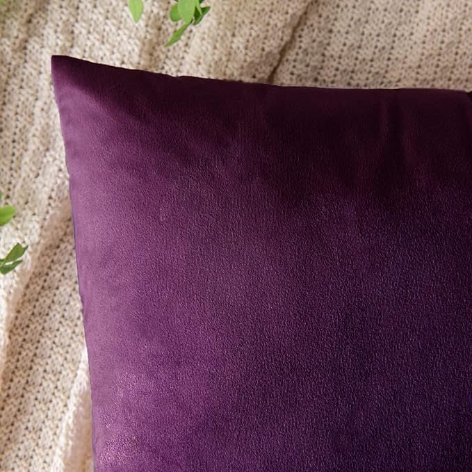 EMEMA Pack of 2 Velvet Throw Pillow Covers Decorative Square Pillowcase Soft Solid Cushion Case for Sofa Bedroom Chair Car 18x18 Inch Eggplant Purple