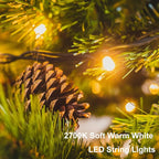2 Pack Christmas String Lights Battery Operated, 33Ft 100 LED Fairy Lights Waterproof Green Wire Wreath lights Tree Lights with Remote 8 Modes Timer for Bderoom Wedding Decoration (Warm White)