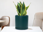 D'vine Dev Set of 2 Plants Pots, 8 Inch Ceramic Planter Pot for Plants with Drainage Hole and Saucer, Teal, 94-V-D-9
