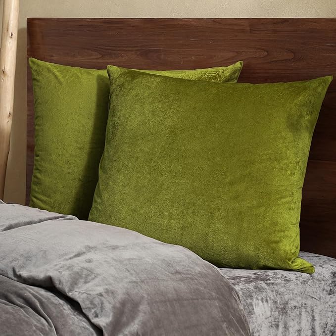 PHF Super Soft Velvet Throw Pillow Covers, 24"x24", No Insert, 2 Pack Color Gradient Cushion Covers, Ultra Soft Cozy Square Shell for Home Decorative, No Shedding, No Pilling, Olive Green
