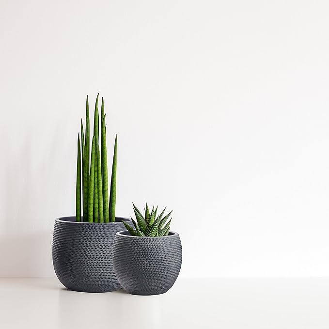 Olly & Rose Barcelona Ceramic Plant Pot Set 2 - Black Flower Pots 7" and 5.5" - Indoor & Outdoor Planters (Black)