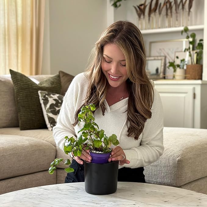 Willowy 6 Inch Black Ceramic Planter - 6 Inch Black Ceramic Pots for Plants Like Aloe, Baby Rubber, Jade, Money, and Snake - Pot with Drainage
