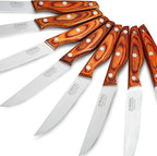 Professional 8-Piece German High Carbon Stainless Steel Steak Knife Set, Premium Full Tang Steak Knives with Pakkawood Handle