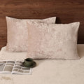 PHF Truly Velvet Pillowcases Standard Size, No Insert, 2 Pack Ultra Soft Breathable Pillow Shams Covers with Envelope Closure, 20" X 26" Luxury Cozy Warm Fuzzy Flannel, Rose Pink