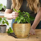 Indoor Plant Pot 6 Inch - Ceramic Pot for Plants Outdoor Planter with Drainage Hole and Saucer Round Decorative Planter Modern Flower Pot for Home Decor Gold