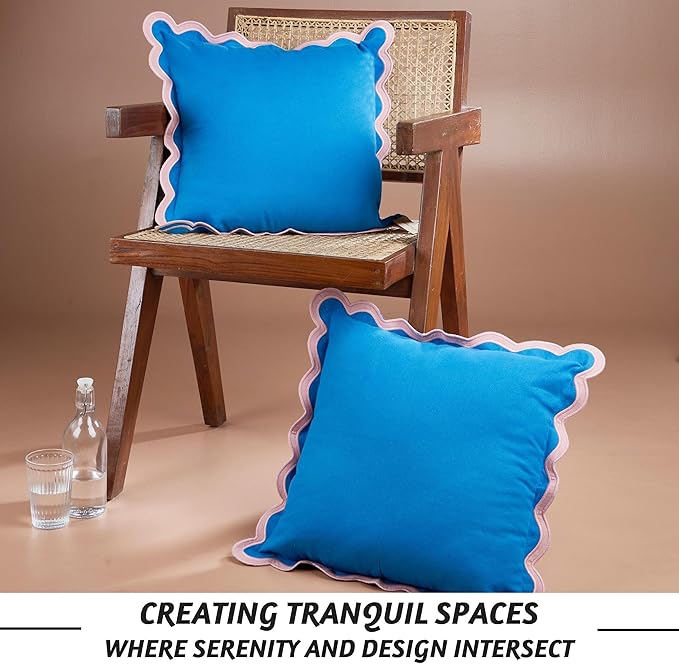Folkulture Throw Pillow Covers | (20 x 20) Set of 2 Decorative Pillow Covers | Cotton, Blue Throw Pillows for Couch or Cute Outdoor Pillow | Farmhouse Couch Pillows for Living Room