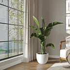 DTY Signature Mount Belford Lightweight and Durable Modern Fiberstone Egg Shaped Planter for Indoor/Outdoor Drainage Hole & Rubber Plug Weather Resistant 12" H x 15" Dia, 12.8" Opening - Medium, White