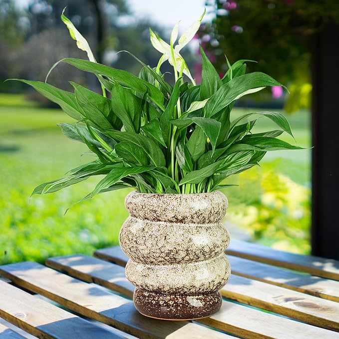 Ceramic 5 inch Plant Pot - Planter for Indoor Plants with Drainage Hole, Flower Pots for Orchid, Succulent,Outdoor Plants, Modern Glaze Planters for Home Office Decor Gift