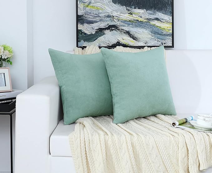 Jeneoo Decorative Seafoam Green Throw Pillow Covers Rustic Farmhouse Super Soft Square Chenille Comfy Solid Cushion Couch Cases for Sofa Bedroom Chair (Set of 2, 16 x 16 Inches)