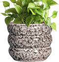 SQOWL Ceramic Plant Pots - 8 Inch Ceramic Planter for Indoor Plants Outdoor, Round Planter with Drainage Hole, Round Decorative Flower Pots, Living Room Office Garden Decor, Gardening Gifts, White