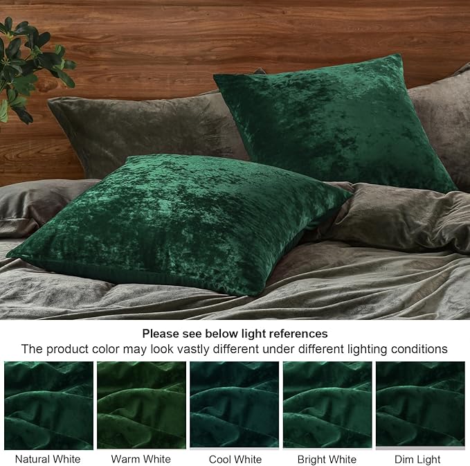 PHF Truly Velvet Euro Sham, 26"x 26",No Insert, 2 Pack Color Gradient Euro Throw Pillow Covers, Ultra Soft Cozy Pillow Covers for Home Decorative, No Shedding, No Pilling, Green