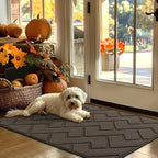 hicorfe Indoor Door Mat,Non Slip Door Mats,32"x48" Front Back Door Mat Rubber Backing,Absorbent Resist Dirt Entrance Inside Floor Mats for Entryway Washable Low-Profile(Latte)