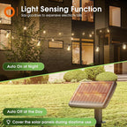 addlon 25FT Solar Powered Outdoor String Lights Waterproof with Remote, G40 Solar Powered String Lights with 13 LED Shatterproof Bulbs, 3 Light Modes, Dimmable Solar Lights for Outside Bistro Cafe