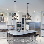 Cage Farmhouse Chandelier,Modern Pendant Light Fixture, Adjustable Height Industrial Black Chandeliers Pendant Light for Dining Room,Kitchen Island,Entryway-4 Light