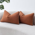 Decorative Neutral Linen Throw Pillow Covers 12x20 Inch Set of 2, Burnt Orange Boho Farmhouse Pillow Covers with Braid Fringe for Sofa Bed Modern Couch Pillow Cases for Organic Home Decor