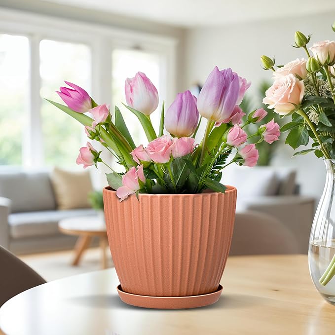 Terracotta 6-Inch Plant Pots with Drainage & Saucers 12 Pack, Indoor & Outdoor Planters for Houseplants, Herbs, and Flowers, Durable & Weatherproof Material, Stackable, Lightweight, Minimalist Design
