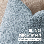 Foindtower 2 Pieces 22x22 Inch Misty Blue,Faux Fur Throw Pillow Cover Accent Sherpa Furry Pillow Covers Fuzzy Soft Pillowcases Cozy Sheepskin Decorative Fleece Cushion Case for Bed Couch Living Room