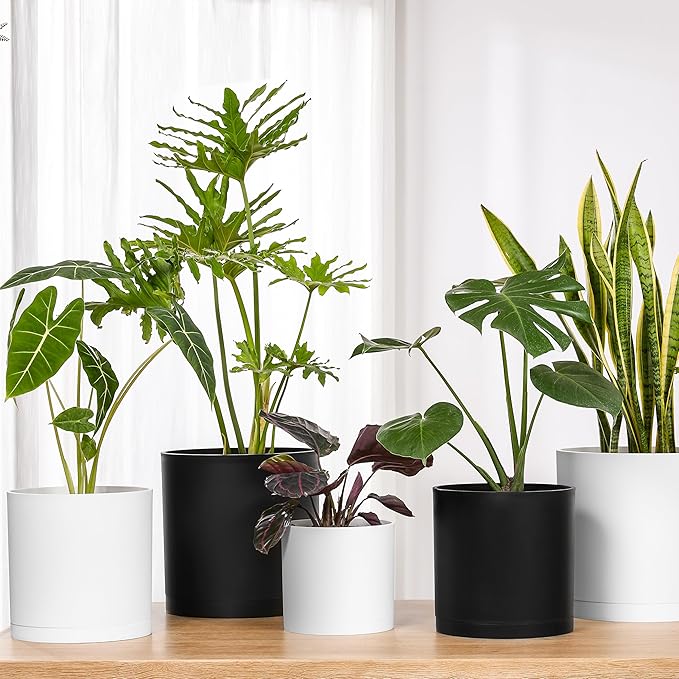 FaithLand 10-Inch Modern Cylinder Planter, Thick-Walled Plastic Plant Pot with Drainage Holes and Detachable Saucer, Matte Black, Ideal for Indoor & Outdoor Plants Flowers