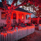Nisocy 66FT 200 LED Red String Lights with Green Wire, Waterproof Christmas Tree Fairy Lights with 8 Modes, Indoor Outdoor Decorative Lighting for Holiday, Party, Garden, Patio