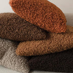 Foindtower 2 Pieces 20x20 Inch Burnt Orange, Faux Fur Throw Pillow Cover Accent Sherpa Furry Pillow Cover Fuzzy Soft Pillowcases Cozy Sheepskin Decorative Fleece Cushion Case for Bed Couch Living Room