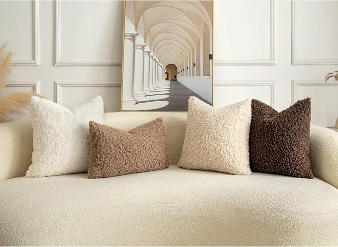 Pack of 2 Curly Teddy Wool Faux Fur Throw Pillow Covers Fuzzy Accent Soft Sherpa Pillowcases Sheepskin Fleece Decorative Cushion Case for Sofa Couch Living Room 22x22 Inch Chocolate